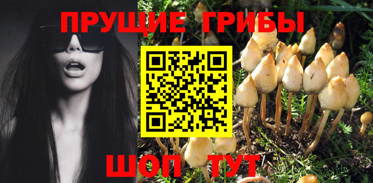 Верхняя Пышма  Псилоцибиновые грибы Magic Shrooms  Галлюциногенные грибы мухоморы  Вход с VPN 
